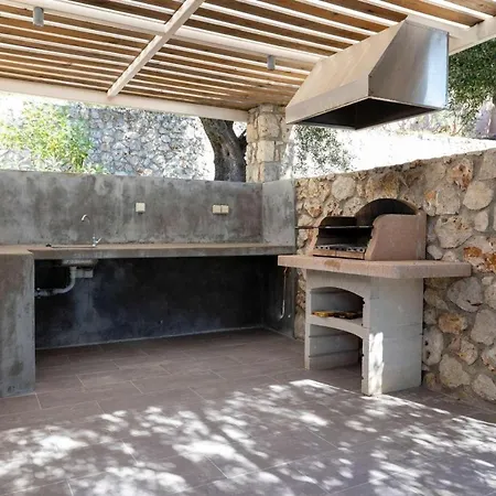 Olive Grove *