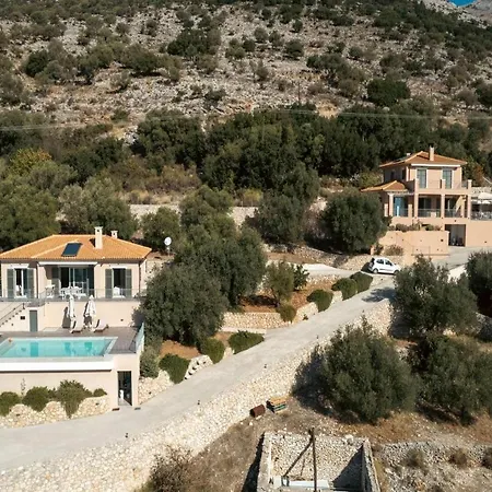Olive Grove